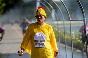 BIB: 
                            <button type="button" onclick="openModal(26544481)" class="btn btn-primary btn-sm float-right btn-popup" data-toggle="modal" data-target=".modal-high-quality">
                        <i class="fas fa-shopping-cart"></i> Add to Cart
                    </button>
                                            <button type="button" onclick="isThisMe(26544481, true)" class="btn btn-success btn-sm float-right btn-popup btn-isme hidden" data-toggle="tooltip" data-placement="bottom" title="นี่คือรูปของคุณใช่ไหม คลิกที่นี่เพื่อเอาเข้าอัลบั้ม">
                        <i class="fas fa-plus"></i> Add to album
                    </button>
                    <button type="button" onclick="isThisMe(26544481, false)" class="btn btn-warning btn-sm float-right btn-popup btn-isnotme hidden">
                        <i class="fas fa-ban"></i> Remove from album
                    </button>